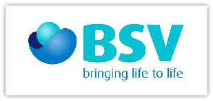 BSV logo